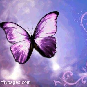 Meet your Posher, Lindy